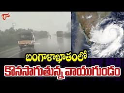 నెల్లూరు జిల్లాలో ఎడతెరపిలేకుండా కురుస్తున్న వర్షం | Heavy Rain in Nellore district | TOne News