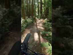 Himiway D7 Pro on the Trails