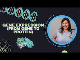 Gene Expression: From Gene to Protein (Biology Ch. 17)