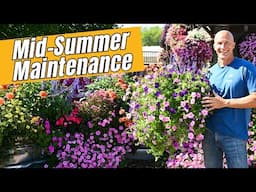 Mid Summer Maintenance - Keeping Your Hanging Baskets Looking Great ALL Summer