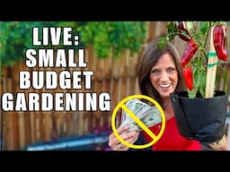 🍅LIVE: Gardening on a Small Budget:  Spend Less $, Grow More (REPLAY)