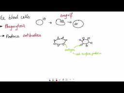 AQA GCSE - B5 Communicable diseases OVERVIEW