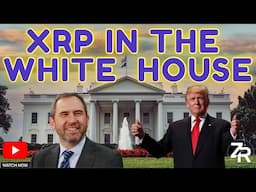 Brad Confirms XRP Talk With Trump!