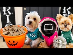 PUPPIES GO TRICK OR TREATING FOR THE FIRST TIME!! (DIY SQUID GAMES HALLOWEEN COSTUMES FOR DOGS