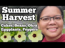 Summer Harvest of Cucumbers, Beans, Okra, Eggplant, and a Quick Garden Tour