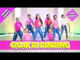 CICAK CICAK DI DINDING REMIX JOGET SADBOR | DANCE ZUMBA SENAM KREASI | TAKUPAZ JAKARTA