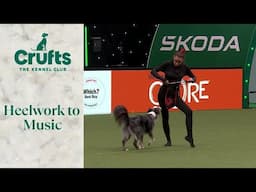 Heelwork To Music - Freestyle International Competition Part 1 | Crufts 2024