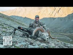 Stone Sheep Pack Unload | Mark V. Peterson Hunting