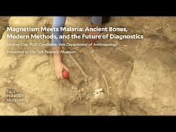 Magnetism Meets Malaria: Ancient Bones, Modern Methods, and the Future of Diagnostics