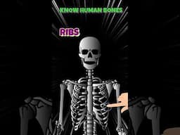 Major Bones in human body in 40 seconds