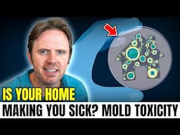 Can Your Home Cause Brain Fog and Fatigue? How Mold & Toxins Affect Your Life