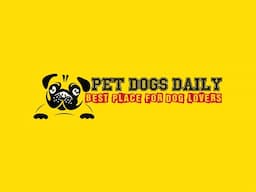 Pet Dogs Daily Live Stream