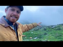 Josh Waller Report - Trees Returning to Israel's Mountains (Tu BiShvat 2024)