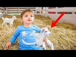 Baby Noah Meets Baby Goats for the First Time! *emotional*