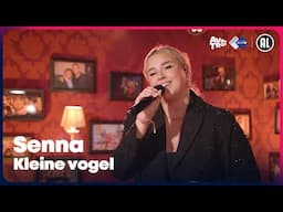 Senna - Kleine vogel (LIVE) // Sterren NL Radio