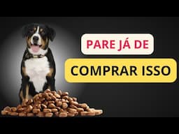 Rações que eu NUNCA daria para meus cachorros