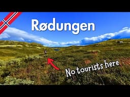 Rødungen | Bergsjø | Skarvheimen