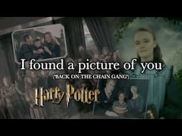 Harry Potter: I found a picture of you ('Back on the Chain Gang')