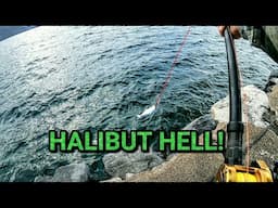 Hard going! Bad luck! And big fish! in arctic Norway!