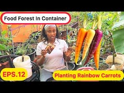 Food Forest In Container‼️Planting RAINBOW Carrots💯