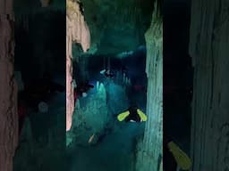 Cave Diving Through Cenotes 🎬 Ricardo Castillo Miguez #Shorts #Diving