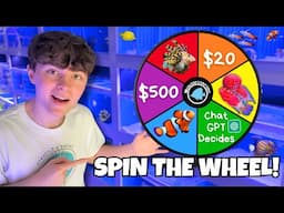 SPIN THE WHEEL Decides my NEW AQUARIUM!!