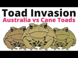 How Australia fights invasive Cane Toads