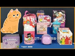 CUTE KITTY CAT UNBOXING! 😻Aphmau Pusheen Hello Kitty Lost Kitties and more!