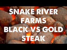 Gold vs Black Snake River Farms Steak - Is There a Difference?!