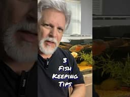 3 Things I’ve Learned *The HARD WAY!* #aquarium #fish #shorts