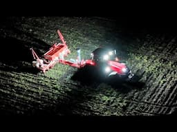 Planting Maize In The Dark. Heifer with Pink Eye Treated.