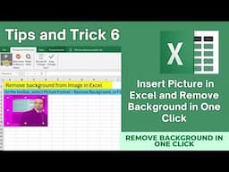 Insert Picture in Excel and Remove Background in One Click