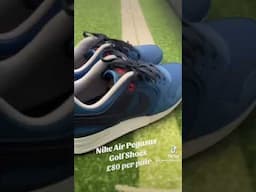 Nike Air Pegasus Golf Shoes #rorymcilroy #golf #content