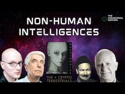 Non Human Intelligences