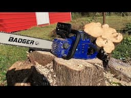 Wild Badger cordless chainsaw