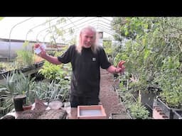 Seed Planting Techniques