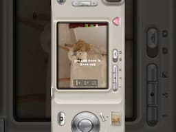 the coolest app ever! I’m highly impressed ♡ 📷 #aesthetic #filmcamera #digitalcamera #pinterest