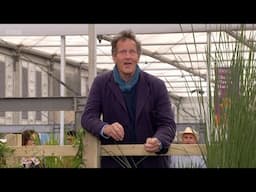 RHS Chelsea Flower Show 2024 - Episode 9