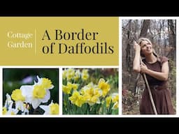 Making a Daffodil Border in Our Cottage Garden | Cozy Gardening Vlog