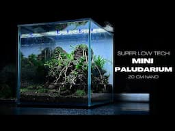 LOW TECH PALUDARIUM SETUP | AQUASCAPING TUTORIAL