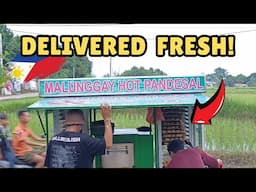 Hot & Fresh Pandesal Delivery: A Filipino Breakfast Staple