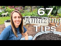 PRO TIPS to start Your Dream Vegetable Garden!