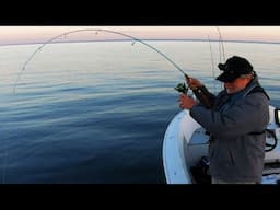 Calm Weather Brought Tasty Jig Fishing!