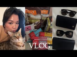 VLOG | thoughts on low effort dates, amazon haul, restocking my cat's food and treats, & girl dinner