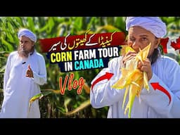 Canada Corn Farm Visit - Mufti Tariq Masood Vlog