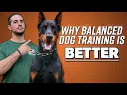 Why Balanced Dog Training Works