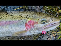 How To Rig Hard Beads for Steelhead Float Fishing