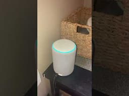 Asking Alexa about politics…