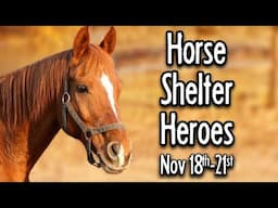 Horse Shelter Heroes | Nov 18th-21st