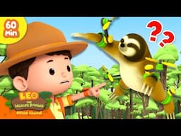 IT'S A FLYING SLOTH?! 🦥 | Furry Animals | Leo the Wildlife Ranger | Kids Cartoon